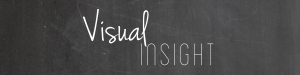 Visual_Insight_Header-01